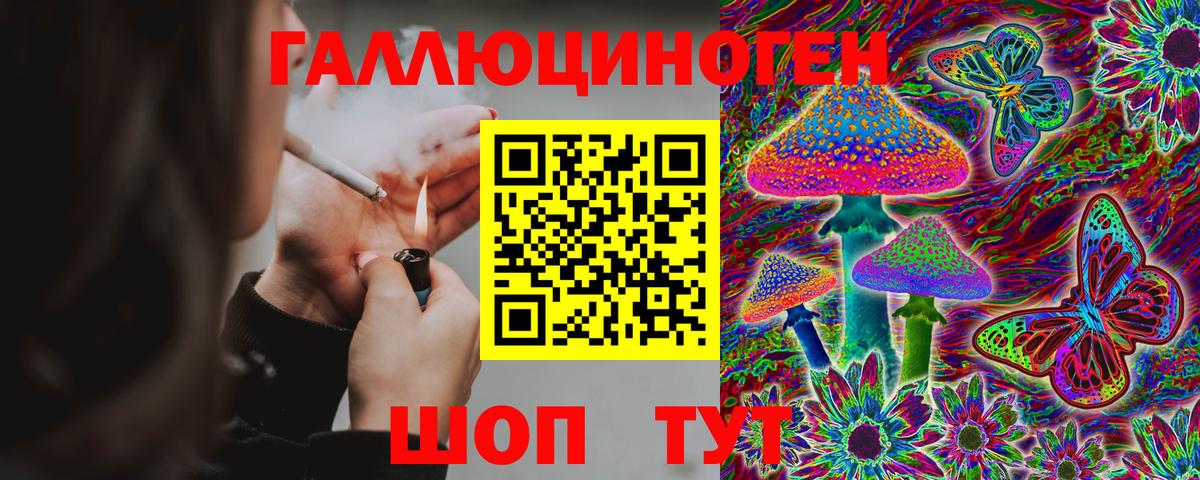 Киржач  Псилоцибиновые грибы Cubensis  Вход с VPN 
