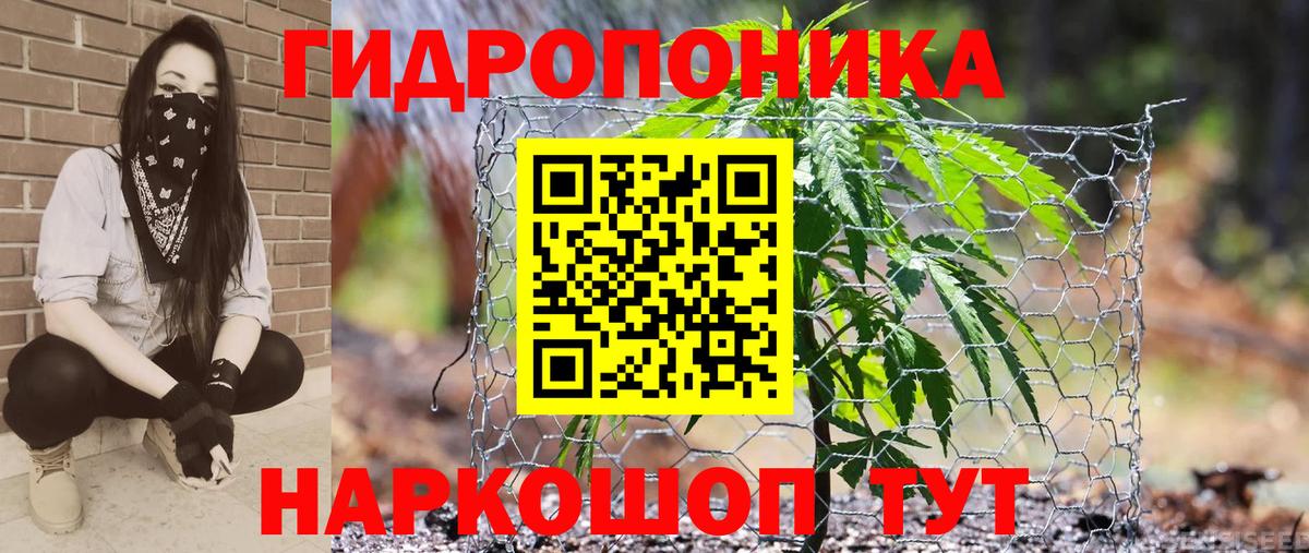 МАРИХУАНА сатива Киржач